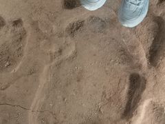 -湖南省地质博物馆