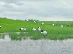 -黑龙江扎龙生态旅游区