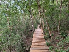 -白草畔自然风景区