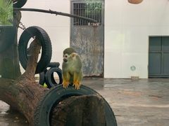 -西安秦岭野生动物园