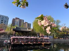 -元大都城垣遗址公园
