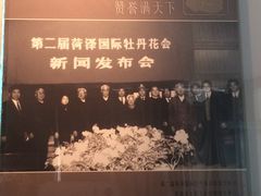 -曹州牡丹园