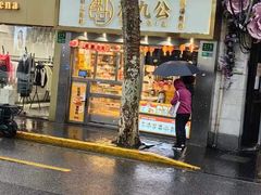 -洪九公(田子坊店)