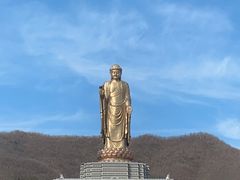 -中原大佛景区