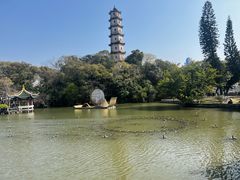 -江心屿景区