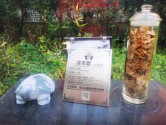 -广州神农草堂中医药博物馆