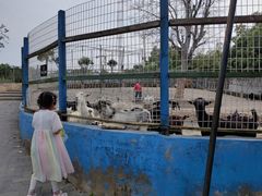 -武汉紫薇都市田园