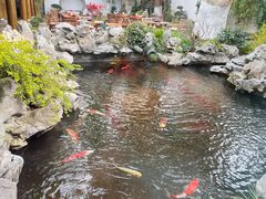 -鲤院·新中式美学·庭院餐厅(夫子庙店)
