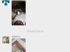 -睿金宠物医院·CT·肿瘤·骨外科