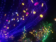 景点-雁滩公园