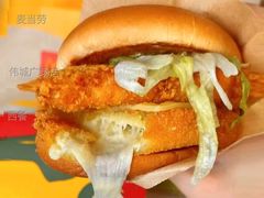 芝芝酪酪堡-麦当劳(伟城广场店)