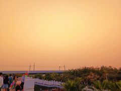 -宝安西湾红树林湿地公园