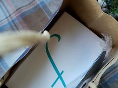 -榖屋house of flour(张江首店)