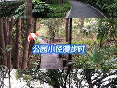 -新江湾城公园