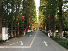 -金岛生态园烧烤露营地