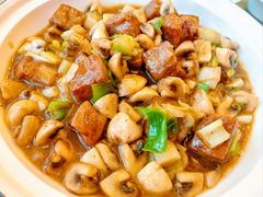 -陈麻婆豆腐总店