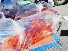 -华声天桥民俗文化园