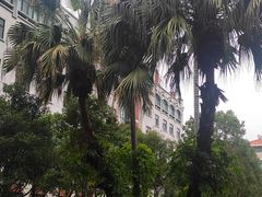 -厦门大学(思明校区)