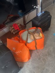 -玛瑞莎孕婴童摄影到家拍