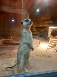 -酷嗒动物文化乐园(cutezoo西溪乐天城店)