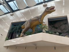 -安徽省地质博物馆