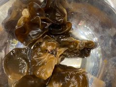 东北黑木耳-川香煲(茅台路店)