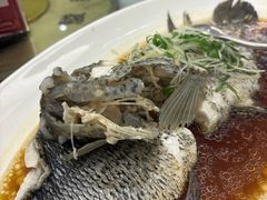 -骏莱海鲜鱼港(五角场店)