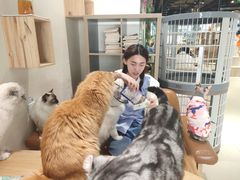 -藏猫猫咖啡主题馆(中央大道店)