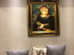 -宠爱国际动物医院·消化内科·心肾内科·ISFM猫友好(望京店)