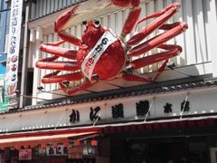 -蟹道乐(道顿堀本店)