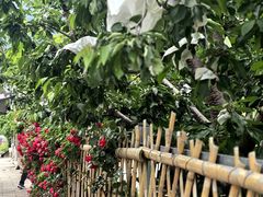 -萝卜寨羌文化生态旅游区