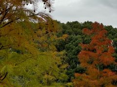 -同里国家湿地公园