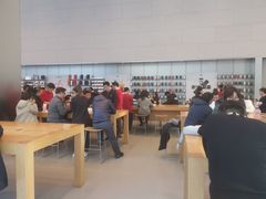 -Apple零售店(华贸购物中心店)