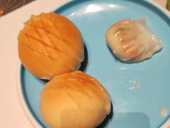 -新兴·金羊座·粤菜点心(乐峰店)