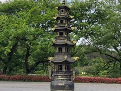 -冶父山国家森林公园