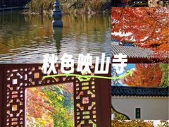 -重庆彩云湖湿地公园