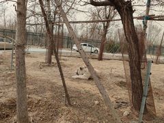 -秦皇岛野生动物园