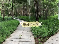 -长春公园(普阳街道)
