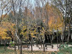 -郑州植物园