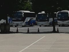 -天鹅湖生态旅游风景区