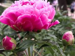 -长春公园(普阳街道)