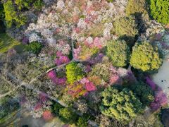 -杭州植物园