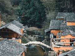 -杨家堂村