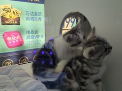 -万达广场(太原街店)