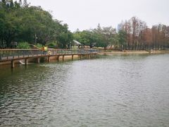 -四海公园(南山区)