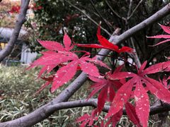 -苏州河梦清园环保主题公园