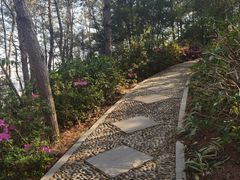 -仙岳公园