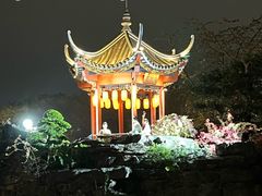 -顺峰山公园