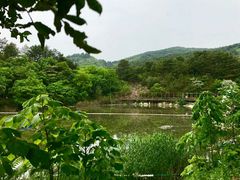 -木兰云雾山