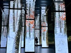 -中国湿地博物馆